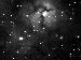 Trifid Nebula - NGC6514 - M20 - 15/05/2004
