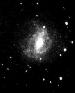 Southern Pinwheel Galaxy - NGC5236 - M83 - 18/04/2004
