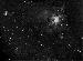 Tarantula Nebula - NGC2070 - 22/01/2004
En este cuadro de video se puede observar NGC 2070 (Tarantula Nebula) y su cumulo globular vecino NGC 2100 